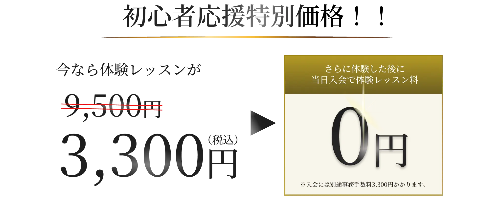 初心者応援特別価格！！